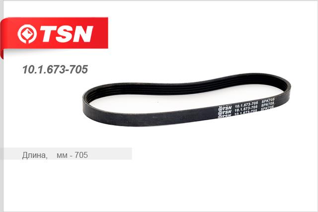 TSN 10.1.673-705 V-Ribbed Belt 101673705: Buy near me in Poland at 2407.PL - Good price!