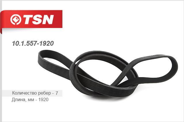 TSN 10.1.557-1920 V-Ribbed Belt 1015571920: Buy near me at 2407.PL in Poland at an Affordable price!
