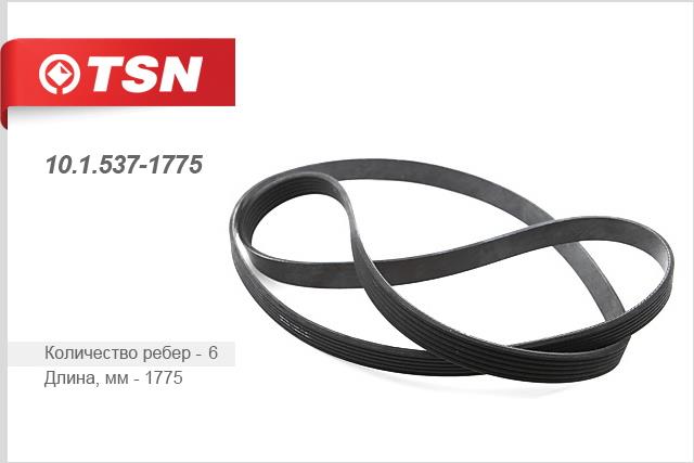 TSN 10.1.537-1775 V-Ribbed Belt 1015371775: Buy near me in Poland at 2407.PL - Good price!
