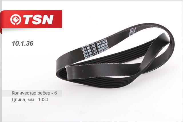 TSN 10.1.36 V-Ribbed Belt 10136: Buy near me in Poland at 2407.PL - Good price!