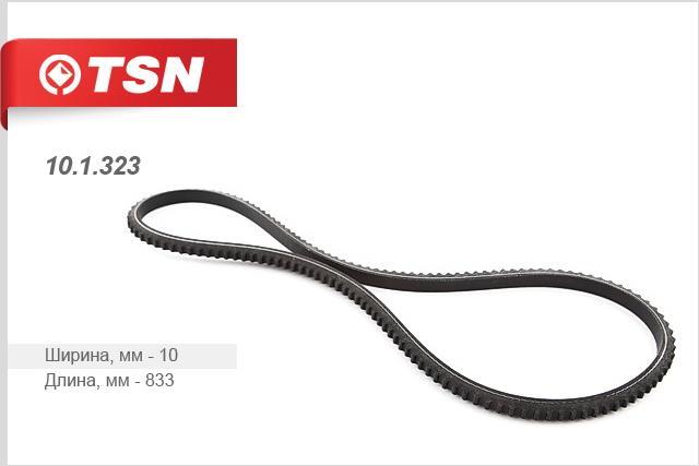 TSN 10.1.323 V-belt 101323: Buy near me in Poland at 2407.PL - Good price!