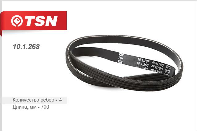 TSN 10.1.268 V-Ribbed Belt 101268: Buy near me in Poland at 2407.PL - Good price!