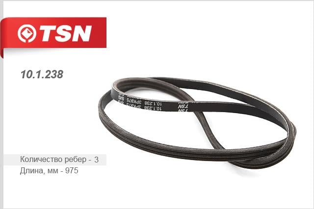 TSN 10.1.238 V-Ribbed Belt 101238: Buy near me in Poland at 2407.PL - Good price!