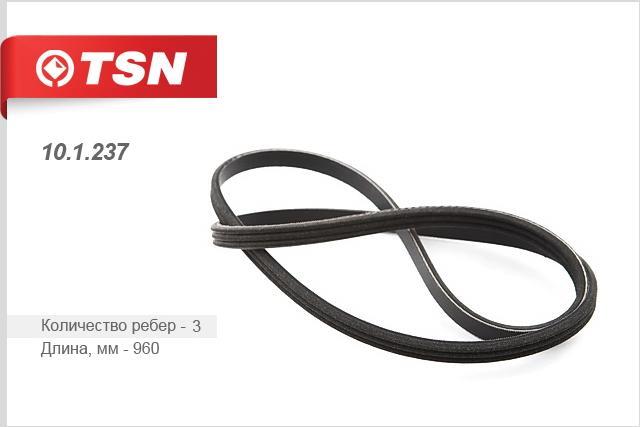 TSN 10.1.237 V-Ribbed Belt 101237: Buy near me in Poland at 2407.PL - Good price!