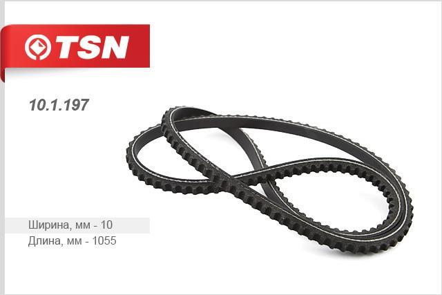 TSN 10.1.197 V-belt 101197: Buy near me in Poland at 2407.PL - Good price!