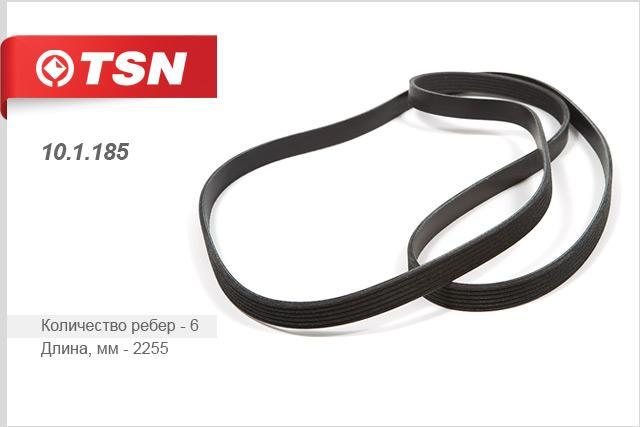TSN 10.1.185 V-Ribbed Belt 101185: Buy near me in Poland at 2407.PL - Good price!