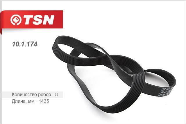 TSN 10.1.174 V-Ribbed Belt 101174: Buy near me in Poland at 2407.PL - Good price!