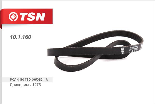 TSN 10.1.160 V-Ribbed Belt 101160: Buy near me in Poland at 2407.PL - Good price!