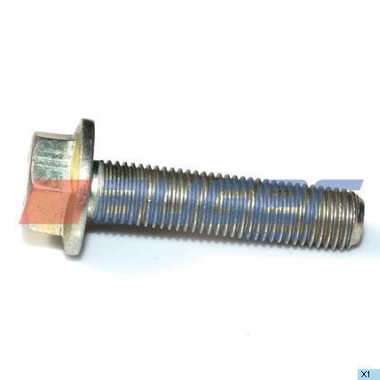 Auger 59251 Bolt 59251: Buy near me in Poland at 2407.PL - Good price!