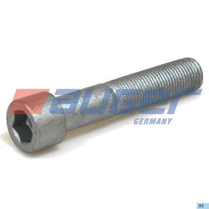Auger 55307 Bolt 55307: Buy near me in Poland at 2407.PL - Good price!