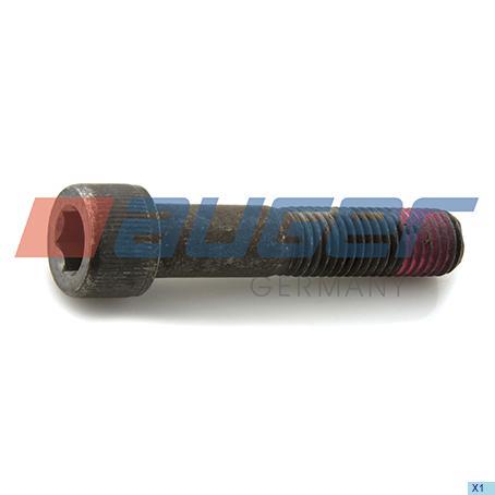 Auger 57573 Bolt 57573: Buy near me in Poland at 2407.PL - Good price!