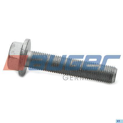 Auger 78831 Bolt 78831: Buy near me in Poland at 2407.PL - Good price!