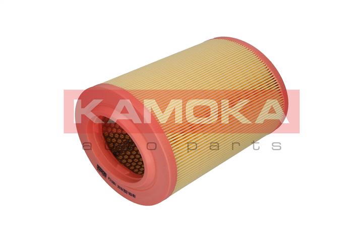 Kamoka F213901 Воздушный фильтр F213901: Отличная цена - Купить в Польше на 2407.PL!