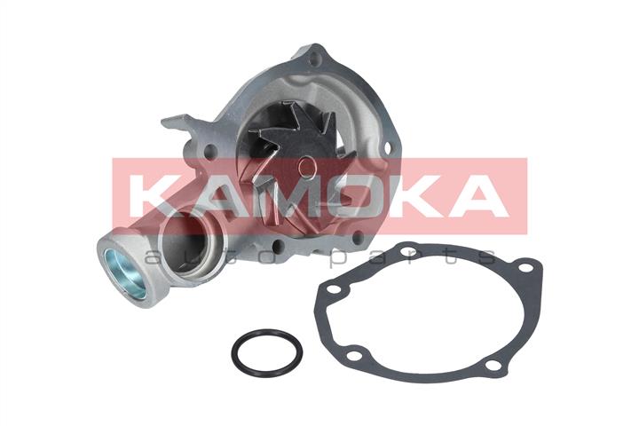 Kamoka T0209 Water pump T0209: Buy near me at 2407.PL in Poland at an Affordable price!