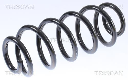 Triscan 8750 29065 Suspension spring front 875029065: Buy near me in Poland at 2407.PL - Good price!