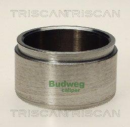 Triscan 8170 235101 Brake caliper piston 8170235101: Buy near me in Poland at 2407.PL - Good price!