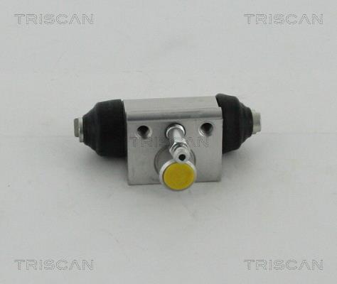 Triscan 8130 69021 Wheel Brake Cylinder 813069021: Buy near me in Poland at 2407.PL - Good price!