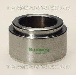Triscan 8170 234802 Brake caliper piston 8170234802: Buy near me in Poland at 2407.PL - Good price!