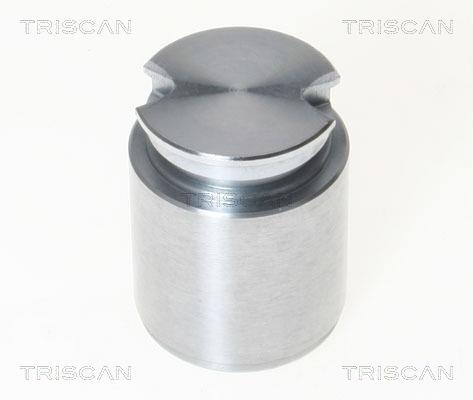 Triscan 8170 233631 Brake caliper piston 8170233631: Buy near me in Poland at 2407.PL - Good price!