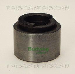 Triscan 8170 234203 Brake caliper piston 8170234203: Buy near me in Poland at 2407.PL - Good price!