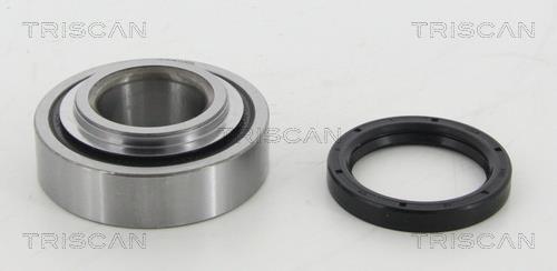 Triscan 8530 41208 Wheel bearing kit 853041208: Buy near me in Poland at 2407.PL - Good price!