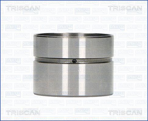 Triscan 80-29003 Гідрокомпенсатор 8029003: Приваблива ціна - Купити у Польщі на 2407.PL!