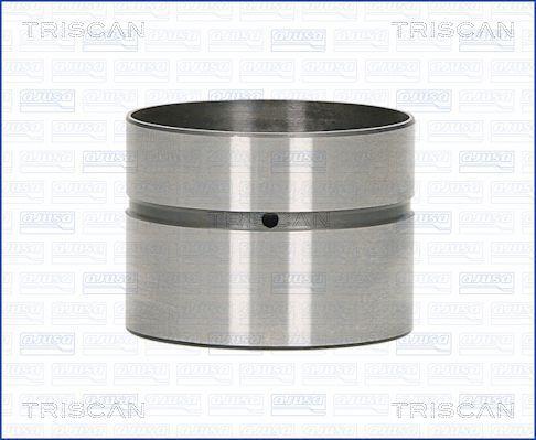 Triscan 80-29007 Гидрокомпенсатор 8029007: Купить в Польше - Отличная цена на 2407.PL!