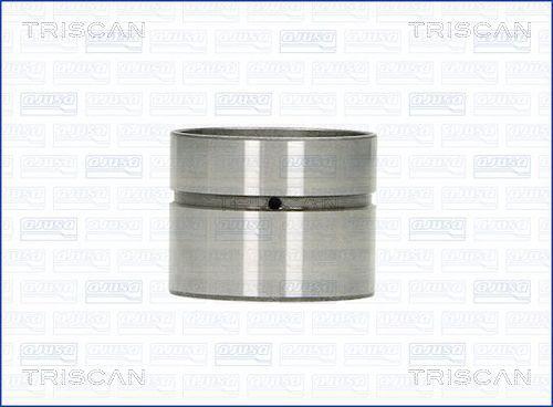 Triscan 80-29008 Гидрокомпенсатор 8029008: Отличная цена - Купить в Польше на 2407.PL!