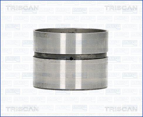Triscan 80-29010 Гидрокомпенсатор 8029010: Отличная цена - Купить в Польше на 2407.PL!