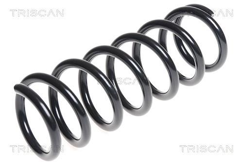 Triscan 8750 13192 Coil Spring 875013192: Buy near me in Poland at 2407.PL - Good price!