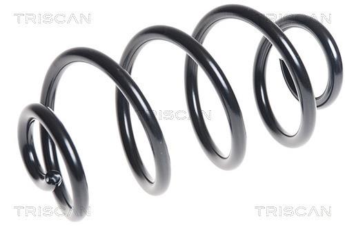 Triscan 8750 14105 Coil Spring 875014105: Buy near me in Poland at 2407.PL - Good price!