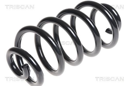 Triscan 8750 14107 Coil Spring 875014107: Buy near me in Poland at 2407.PL - Good price!