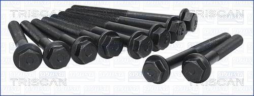 Triscan 98-2501 Cylinder Head Bolts Kit 982501: Buy near me in Poland at 2407.PL - Good price!