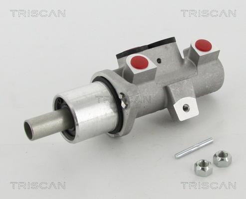 Triscan 8130 29167 Brake Master Cylinder 813029167: Buy near me in Poland at 2407.PL - Good price!
