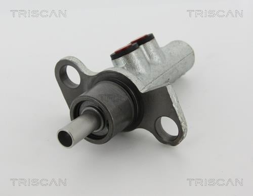 Triscan 8130 29173 Brake Master Cylinder 813029173: Buy near me in Poland at 2407.PL - Good price!