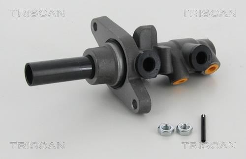 Triscan 8130 29175 Brake Master Cylinder 813029175: Buy near me at 2407.PL in Poland at an Affordable price!