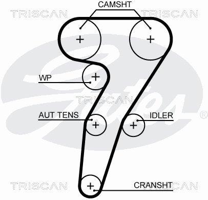 Triscan 8645 5653XS Timing belt 86455653XS: Buy near me in Poland at 2407.PL - Good price!