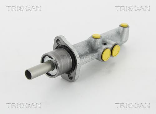 Triscan 8130 10130 Brake Master Cylinder 813010130: Buy near me in Poland at 2407.PL - Good price!