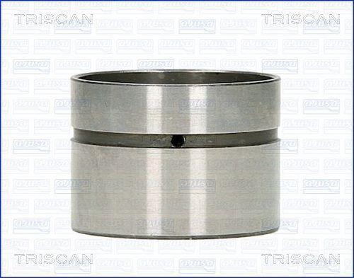 Triscan 80-11000 Гидрокомпенсатор 8011000: Купить в Польше - Отличная цена на 2407.PL!