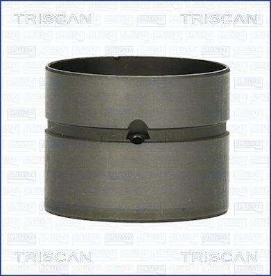 Triscan 80-12000 Гидрокомпенсатор 8012000: Отличная цена - Купить в Польше на 2407.PL!