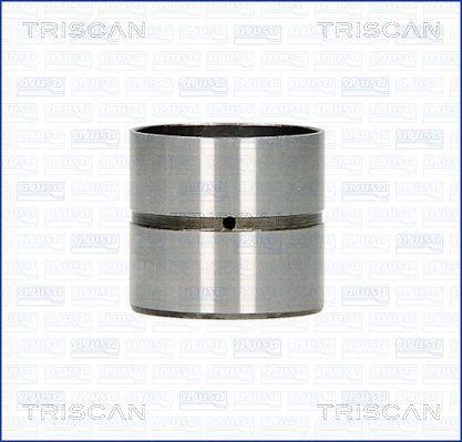 Triscan 80-16000 Гідрокомпенсатор 8016000: Приваблива ціна - Купити у Польщі на 2407.PL!