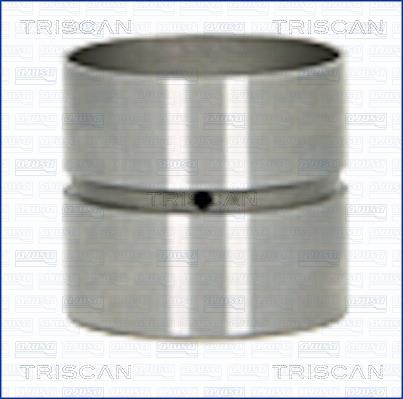 Triscan 80-25007 Hydrostößel 8025007: Kaufen Sie zu einem guten Preis in Polen bei 2407.PL!