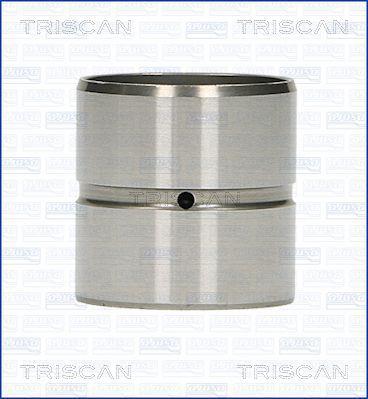 Triscan 80-29001 Hydrostößel 8029001: Kaufen Sie zu einem guten Preis in Polen bei 2407.PL!