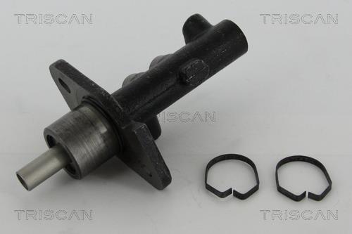 Triscan 8130 16171 Brake Master Cylinder 813016171: Buy near me in Poland at 2407.PL - Good price!