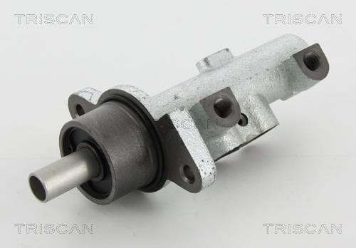 Triscan 8130 24161 Brake Master Cylinder 813024161: Buy near me in Poland at 2407.PL - Good price!