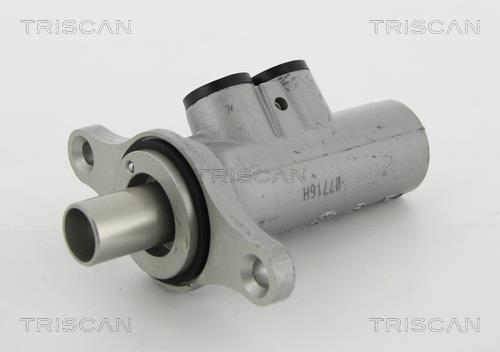 Triscan 8130 28148 Brake Master Cylinder 813028148: Buy near me in Poland at 2407.PL - Good price!