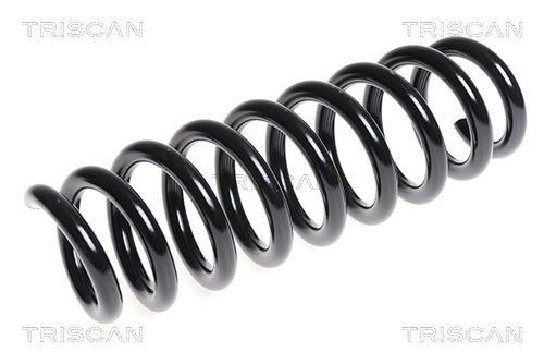 Triscan 8750 11113 Coil Spring 875011113: Buy near me in Poland at 2407.PL - Good price!