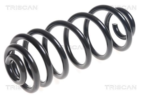 Triscan 8750 11134 Coil Spring 875011134: Buy near me in Poland at 2407.PL - Good price!