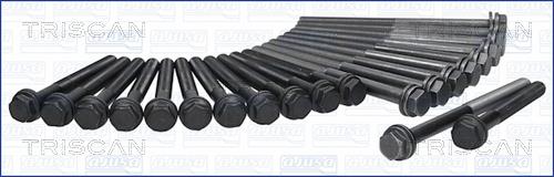 Triscan 98-2503 Cylinder Head Bolts Kit 982503: Buy near me in Poland at 2407.PL - Good price!