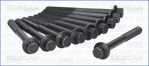 Triscan 98-4000 Cylinder Head Bolts Kit 984000: Buy near me in Poland at 2407.PL - Good price!